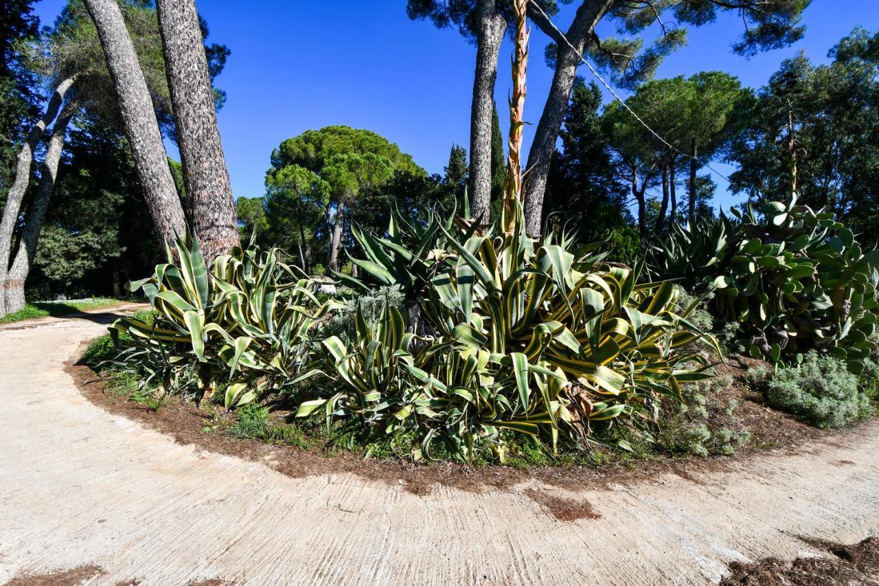 Dream House Holiday home Piazza Armerina